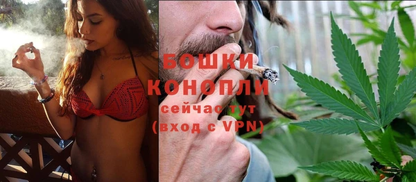 молекула духа Богородск
