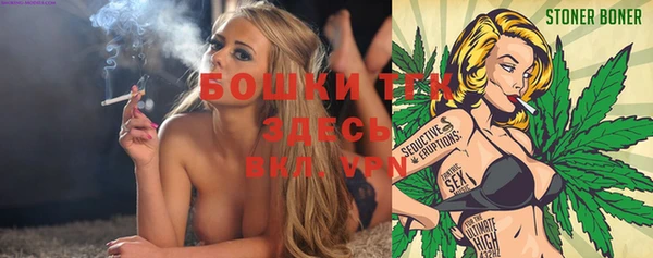 молекула духа Богородск