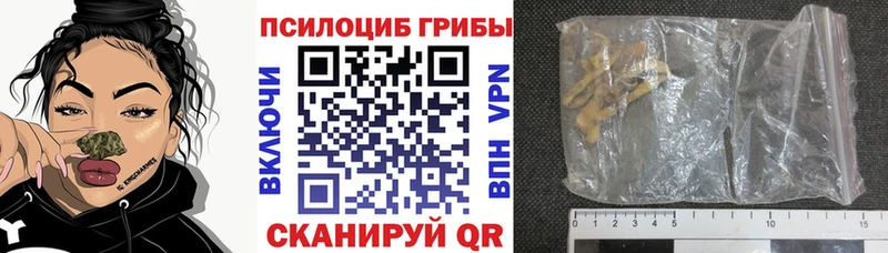 Галлюциногенные грибы Psilocybine cubensis  Вуктыл 